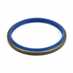 Dkb/Dkbi Hydraulic Cylinder Oil Seal NBR Dust Seal Sealing Ring