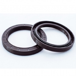 Double Lip FKM/FPM Rubber Oil Seal Crankshaft Oil Seal Tc/Tg for Rotary Shaft Seal Suppliers