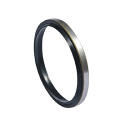 Framework Oil Seal Rubber Oil Seal Mechanical Seal Tto Hydraulic Seal Ga Seal Hydraulic and Pneumatic Seal Manufacturer
