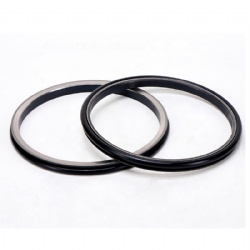 Manufacture Float Oil Seals Floating Seal Rubber Oil Seal Mechanical Seal Ring