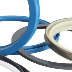 NBR Material Standard Size Quality Crankshaft Oil Seals O Ring Custom Rubber Oil Seal