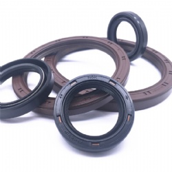 Nok Seal Manufacturer Motor Double Lip HTC Htcl Htcr Oil Seal Rubber Seal Ring