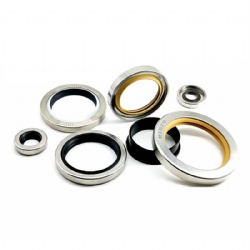 PTFE Stainless Steel Rotary Lip Air Compressor PTFE Oil Seal Shaft Seal for Pumps Engine Mixers Actuators