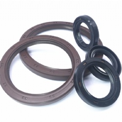 Rubber Silicone Seal Manufacture Double Lips HTC Htcl Htcr Motor Oil Seal Tc Rubber NBR FKM Oil Seal