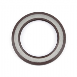 Rubber Vit Tcv Types Oil Seal Standard or Custom Sizes From China Manufacturer