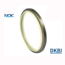 Skeleton Oil Seal Hydraulic Aeal Dkbi Seal Non-Standard Customized Rubber Oil Seal Manufacturer