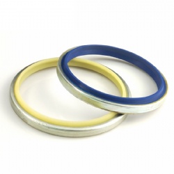 Standard Dkb Scrap Iron Oil Seal Metal Oil Scraper Seal Ring for Excavator