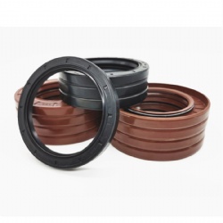 Tc Oil Seal Rubber Seal NBR FKM Tc Oilseal Skeleton Rotary Seal Ring Manufacture