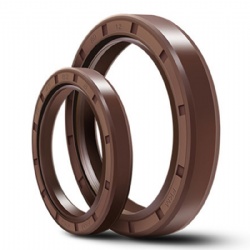 Tc Sc NBR Oil Seal Tc FKM Oil Seal Rubber Oil Seal Rotary Shaft Seals