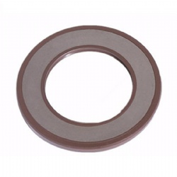 Vit Tcv Oil Seal Skeleton Shaft Seal for Hydraulic Customized